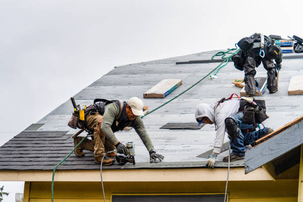 Professional Gutter Installation technician working in Palmerdale, AL